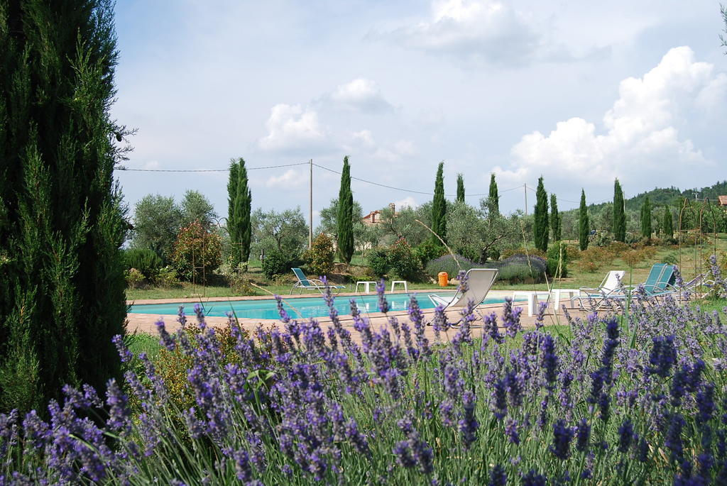 La Casa Di Piandelbello Villa San Venanzo Esterno foto